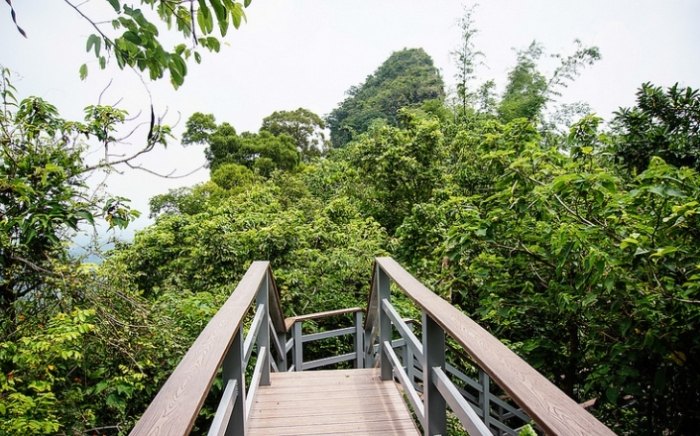 雞冠山登山步道